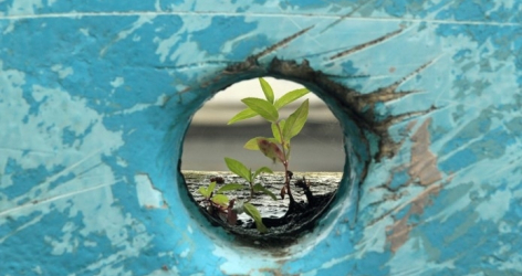 The Need for Resilience in the EU Economy